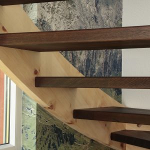 Zirbentreppe (15)